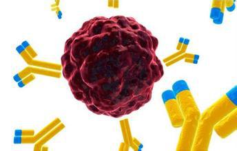 Biosynex[ӛٙzyԇУzw𷨣