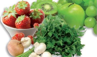 Demeditec ^ԭ\ԇУELISA